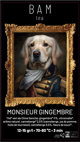 ARISTO-CHIEN MONSIEUR GINGEMBRE